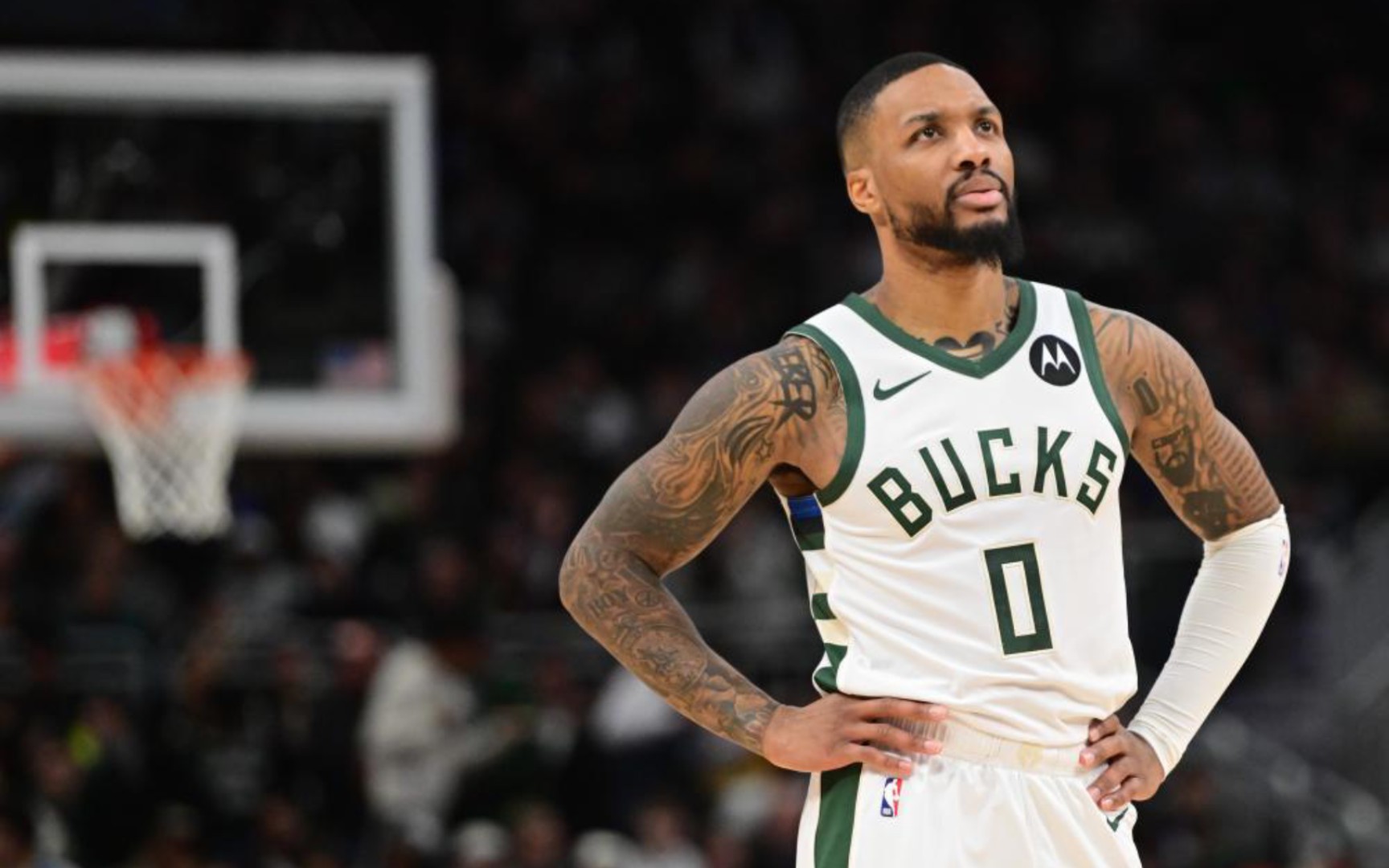 的生命周期 的生命周期